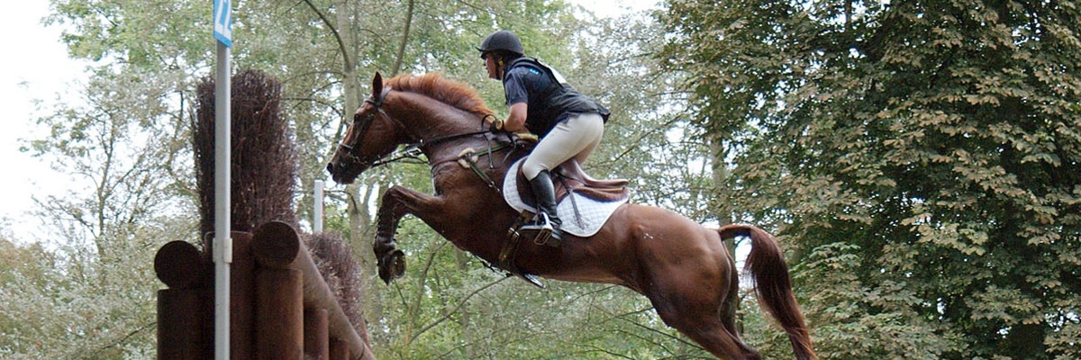Equestrian